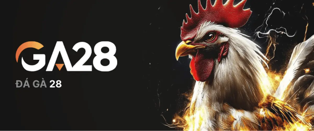 Đá Gà 28