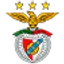 Benfica flag